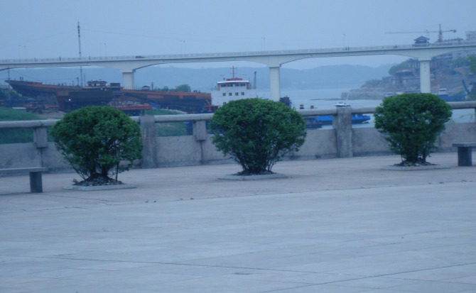 水添香普洱茶