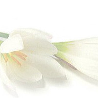 蓬莱长岛旅游海产的LOGO