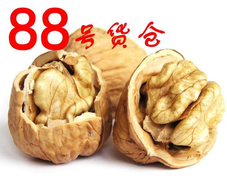 刘师傅干货