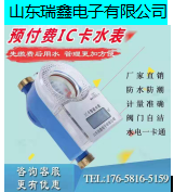 山东瑞鑫电子