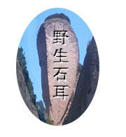 岩耳哥山货的LOGO