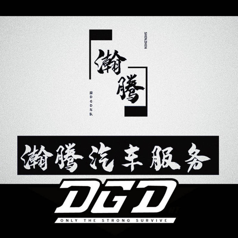 DGD Racing瀚腾配件的LOGO