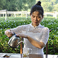 西子湖畔茶仙子的LOGO
