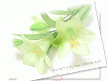 羽绒服严选商城