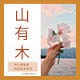 山有木绿植