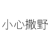 小心撒野