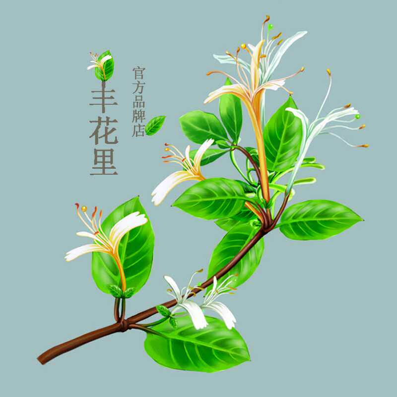 沂蒙丰花里园艺