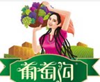 新疆瓜果多的LOGO