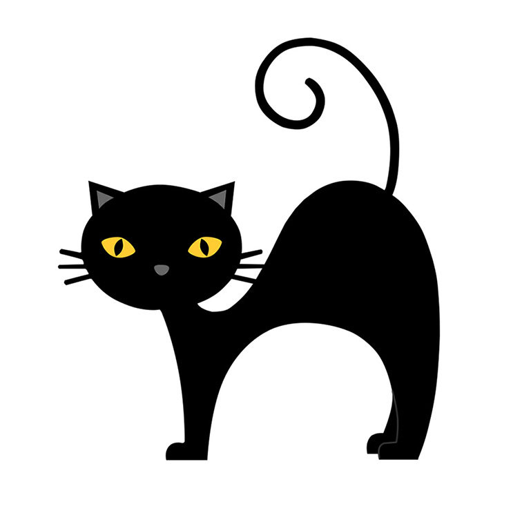 黑猫清洗机配件直销店的LOGO