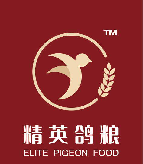 武汉精英鸽粮