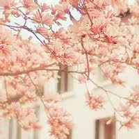 梦璐小阁