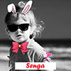 SENGA士多