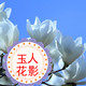玉人花影精品馆的LOGO