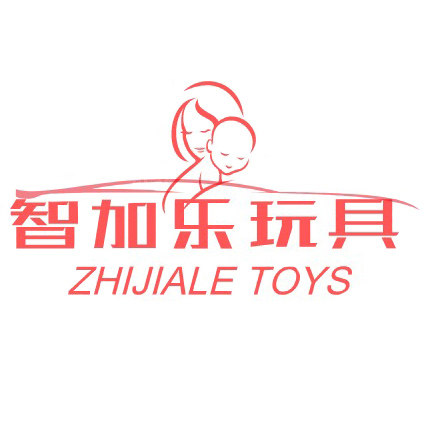 智加乐玩具