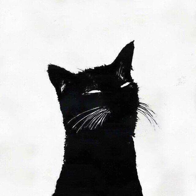 柯先生的茶