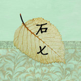 石七studio