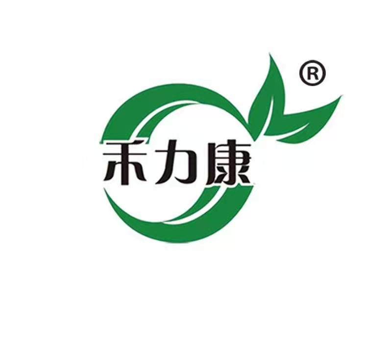 新疆健康养生食品坊