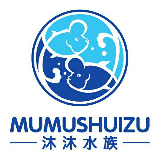 沐沐水族罗汉鱼