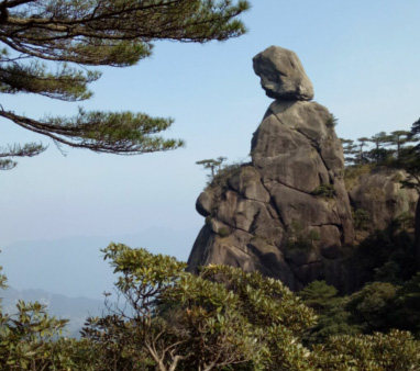 三清山八仙茶叶