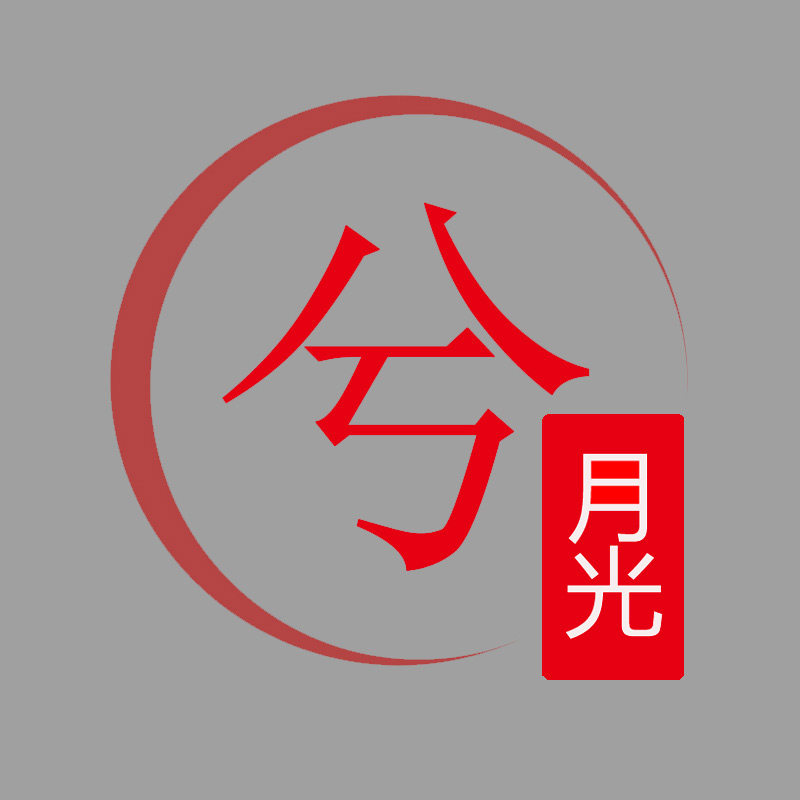 兮舞汉服表演服