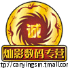 灿影3D直销店企业店的LOGO