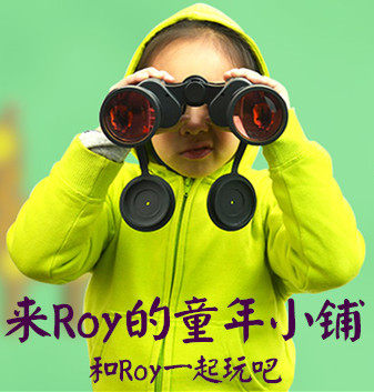 Roy的童年小铺