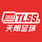 Tianlang Football Direct Store