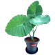 宏景园艺绿植店