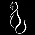美猫猫 高端品牌内衣店
