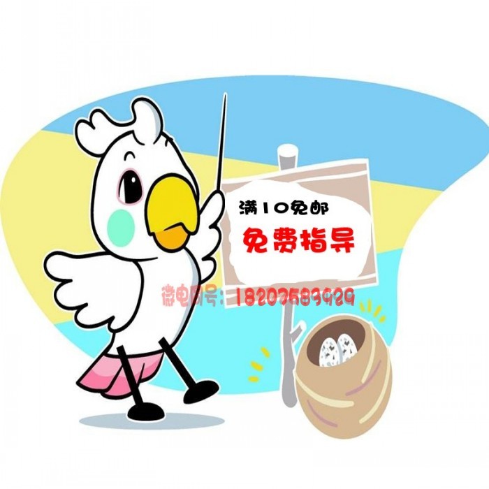 新湖星光科技