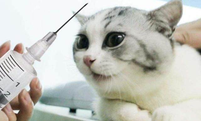 诱色内衣私藏