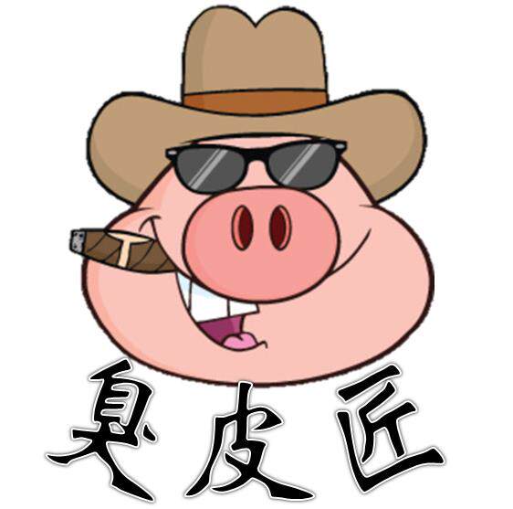 皮藏匠心