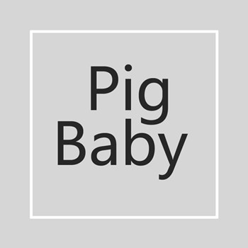PB 中小童男女 外贸童装的LOGO