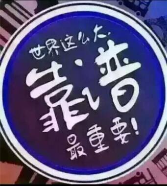 雅顿宠物用品有限公司