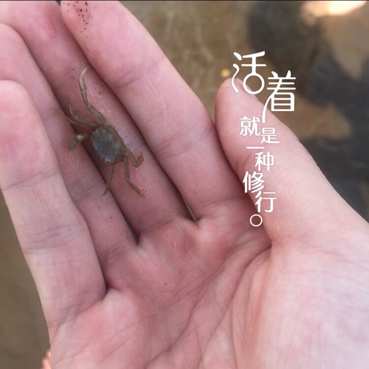 高压锅压力锅配件