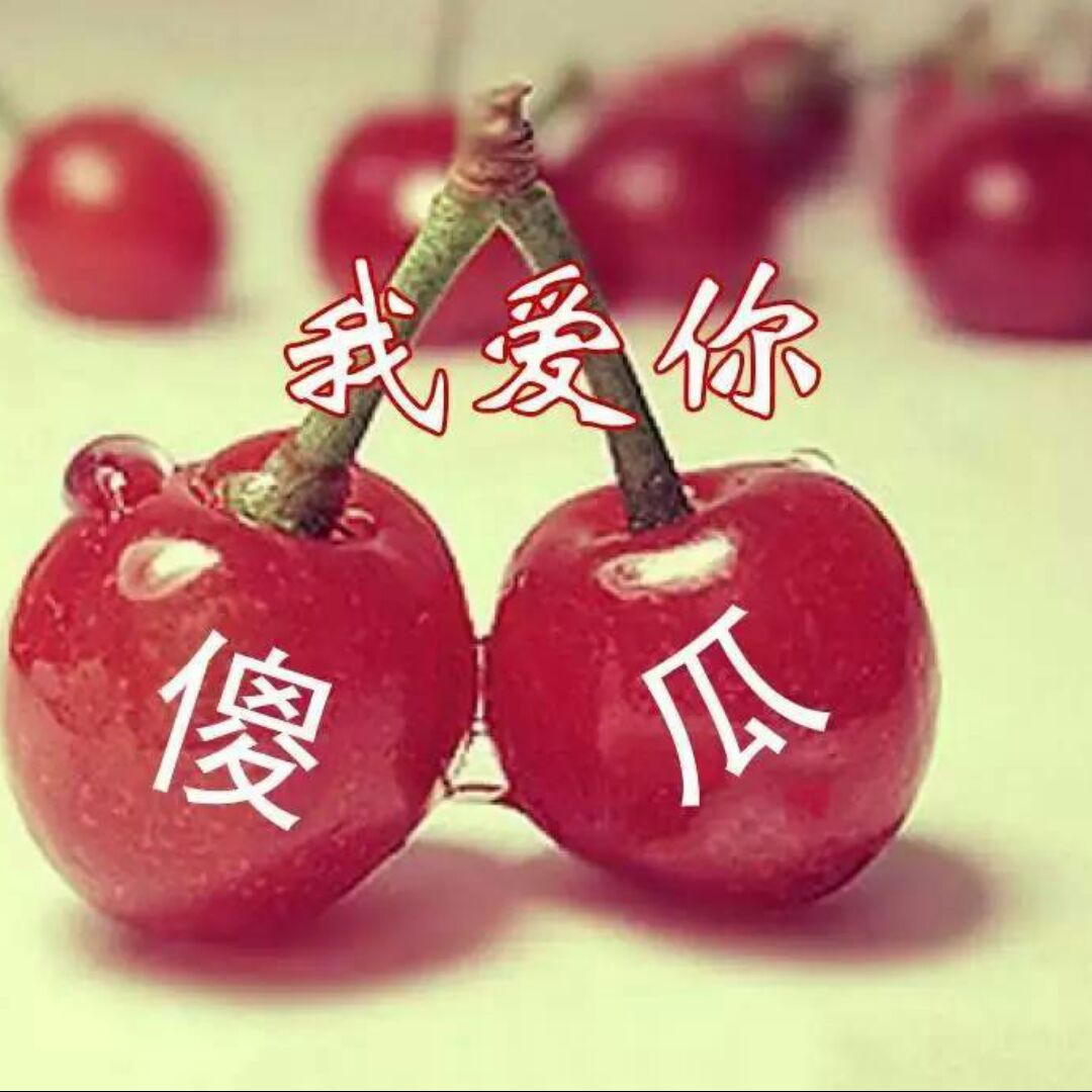 诚意果子