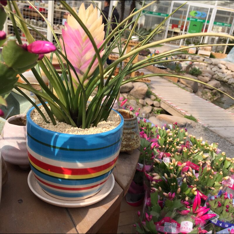 昆尚酒店台布床品布草厂