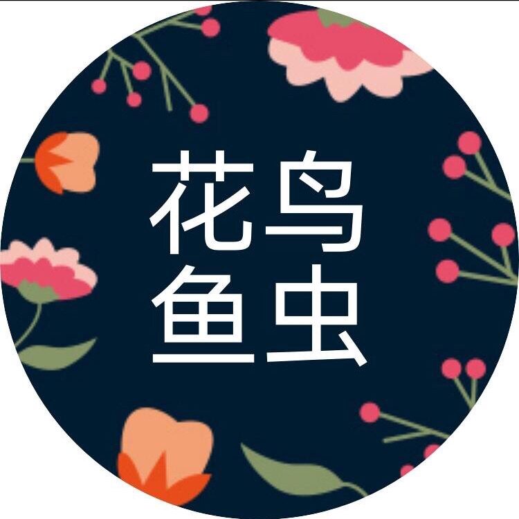 阿华宠物用品店