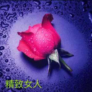 布之缘卫生巾