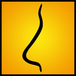 NOSEhome努士家居的LOGO