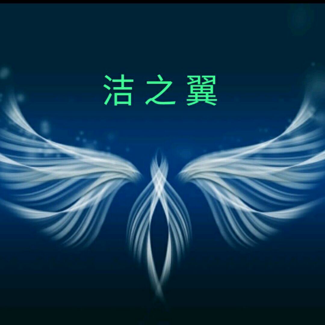 洁之翼清洁工具