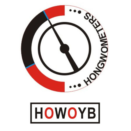 上海宏沃仪表制造有限公司官方企业店的LOGO