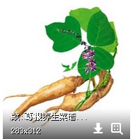 客诚土产的LOGO