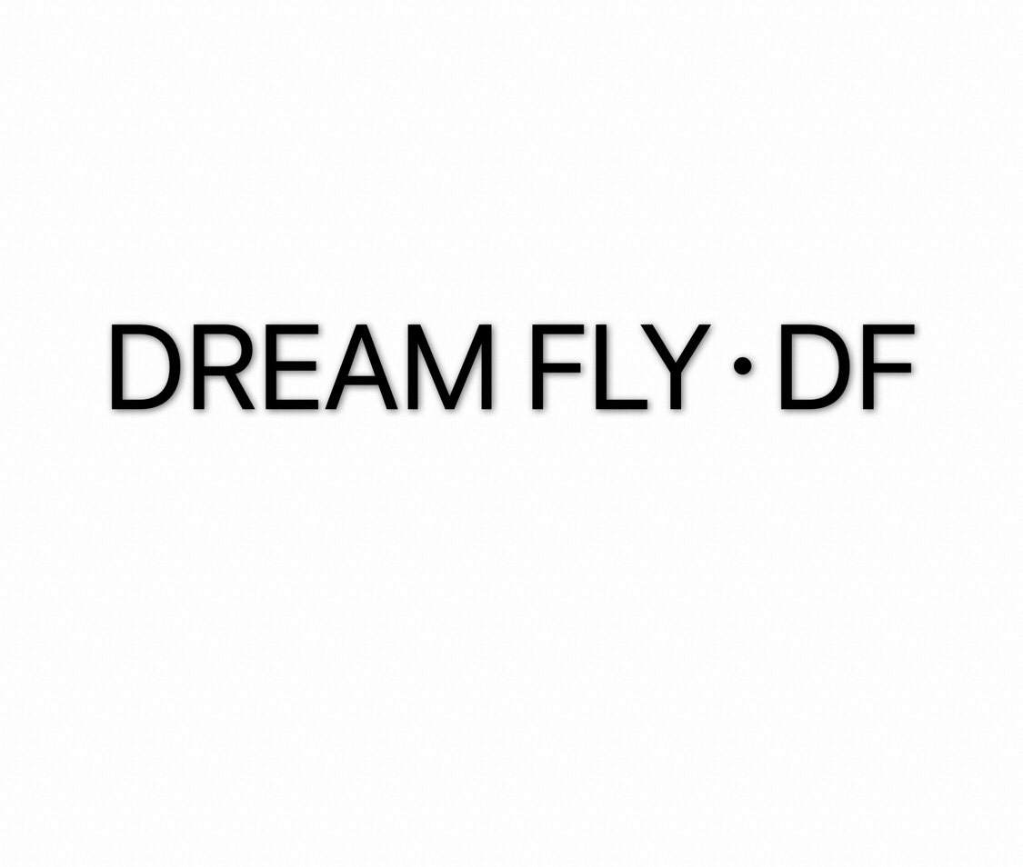 DREAMFLY DF的LOGO
