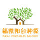 福凯阳台种菜