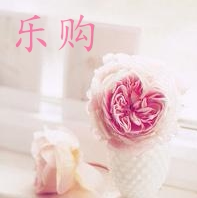 乐购烘焙包装