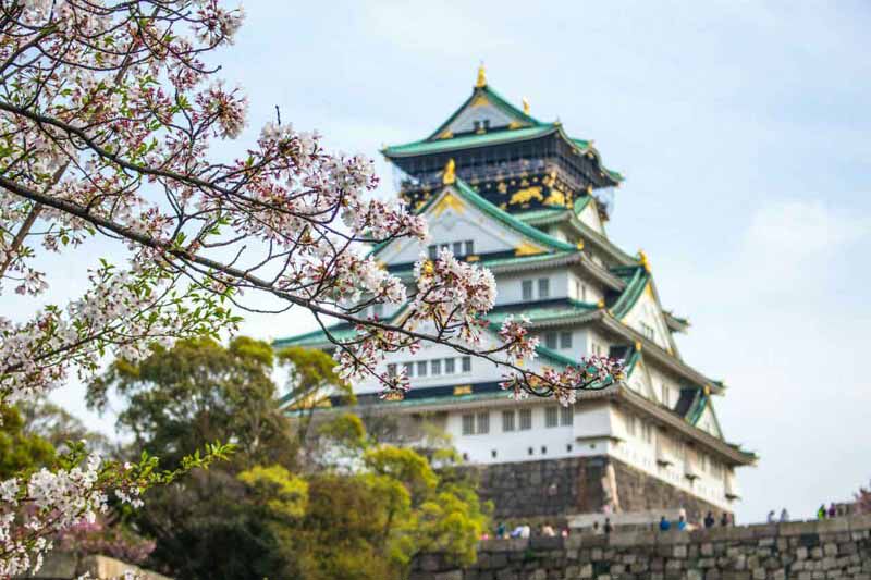 POLA院线日本直供