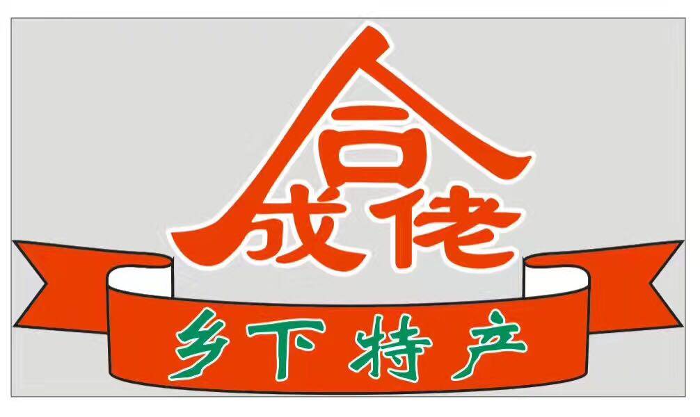 合成佬大湾区侨乡特产