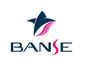 本色banse纹绣官方企业店