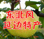 东北风延边特产美食店0321546